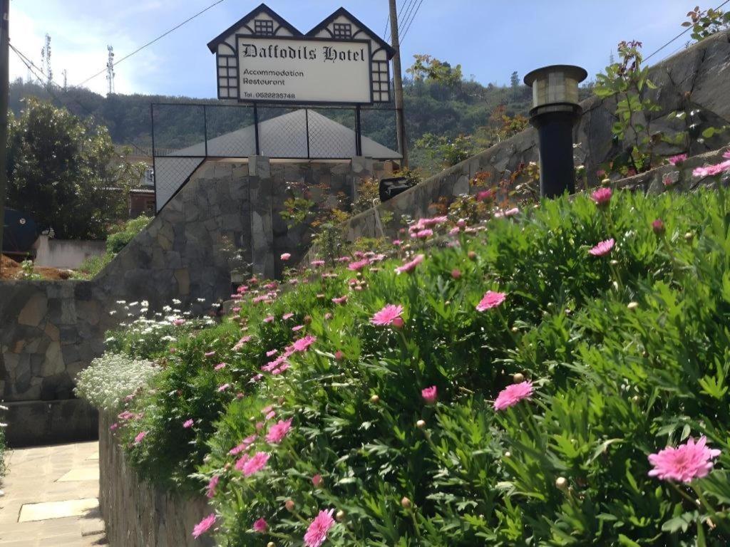 Daffodils Hotel Nuwara Eliya Kültér fotó