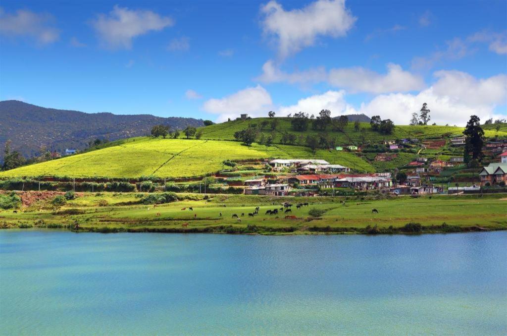 Daffodils Hotel Nuwara Eliya Kültér fotó