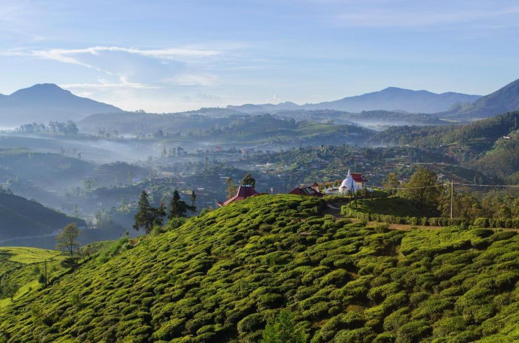 Daffodils Hotel Nuwara Eliya Kültér fotó
