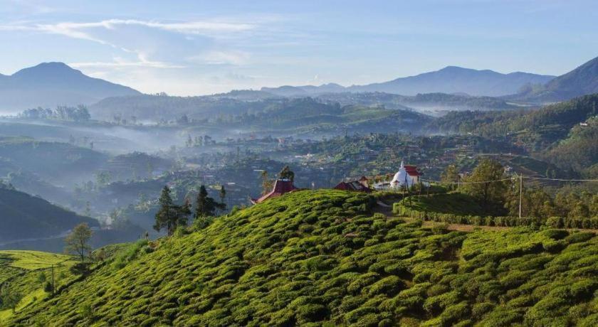 Daffodils Hotel Nuwara Eliya Kültér fotó